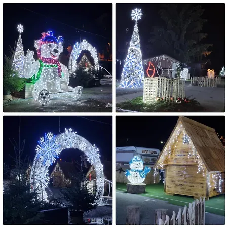 Orhideja * Фужине