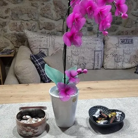 Apartman Orhideja Fužine