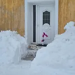 Orhideja * Fužine