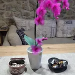 Lejlighed Orhideja Fužine