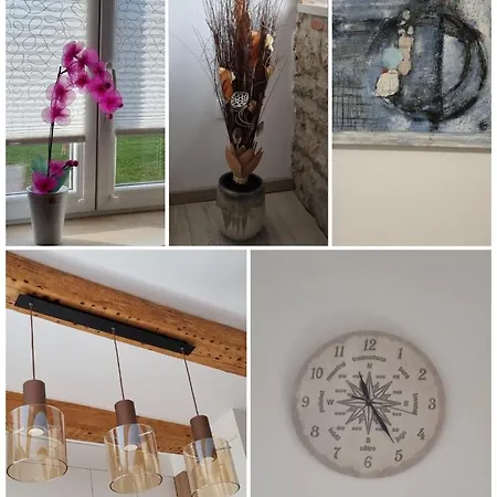 Orhideja * Fužine