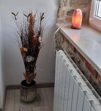 Orhideja Fužine
