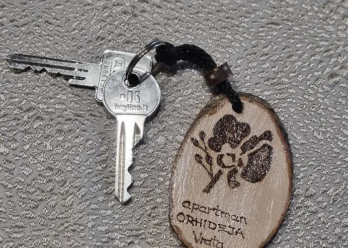 Orhideja *